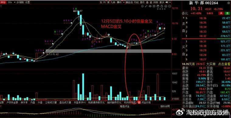 散户的生存战，龙头VS低吸：一招看清你的菜！-炒股吧