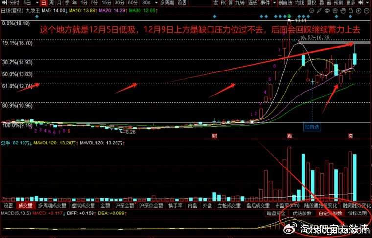 散户的生存战，龙头VS低吸：一招看清你的菜！-炒股吧