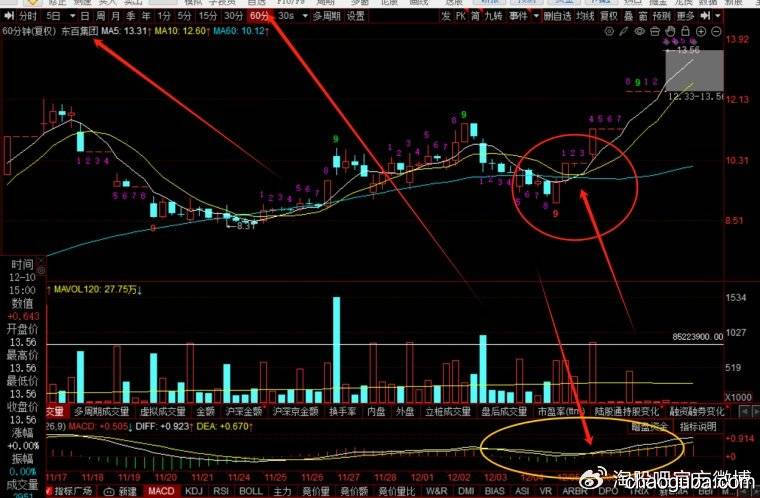 散户的生存战，龙头VS低吸：一招看清你的菜！-炒股吧